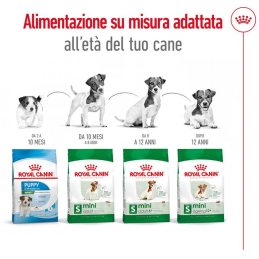 Royal Canin Mini Adult 8kg - Crocchette per Cani